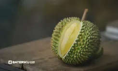 thumbnail_Bateriku Durian Season-1.webp