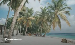 thumbnail_Pantai Menarik Kuantan.webp