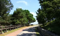 thumbnail_Saujana Hijau Park Putrajaya.webp